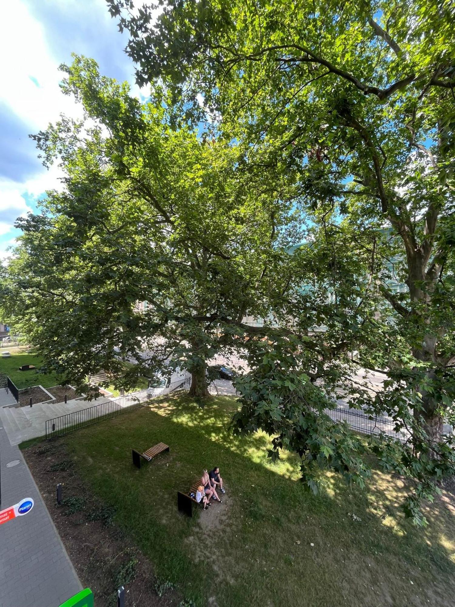 Komfort Z Balkonem W Centrum Breslavia Esterno foto